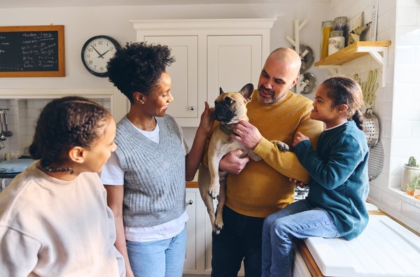 Les histoires inspirantes d'adoption d'animaux