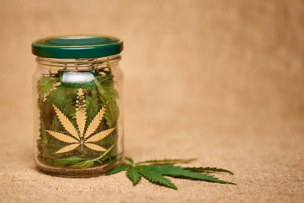 Débats sur la légalisation du cannabis et l'addiction.